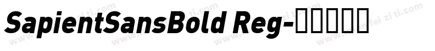 SapientSansBold Reg字体转换